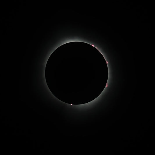 Éclipse Solaire 8 Avril 2024 à L'Île des Soeurs, Montréal. Photo par Jonathan Brunelle co propriétaire ELZi Couturière Montreal